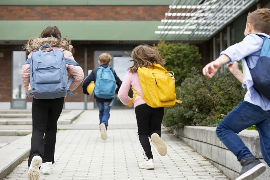 Come scegliere la borsa non è pesante